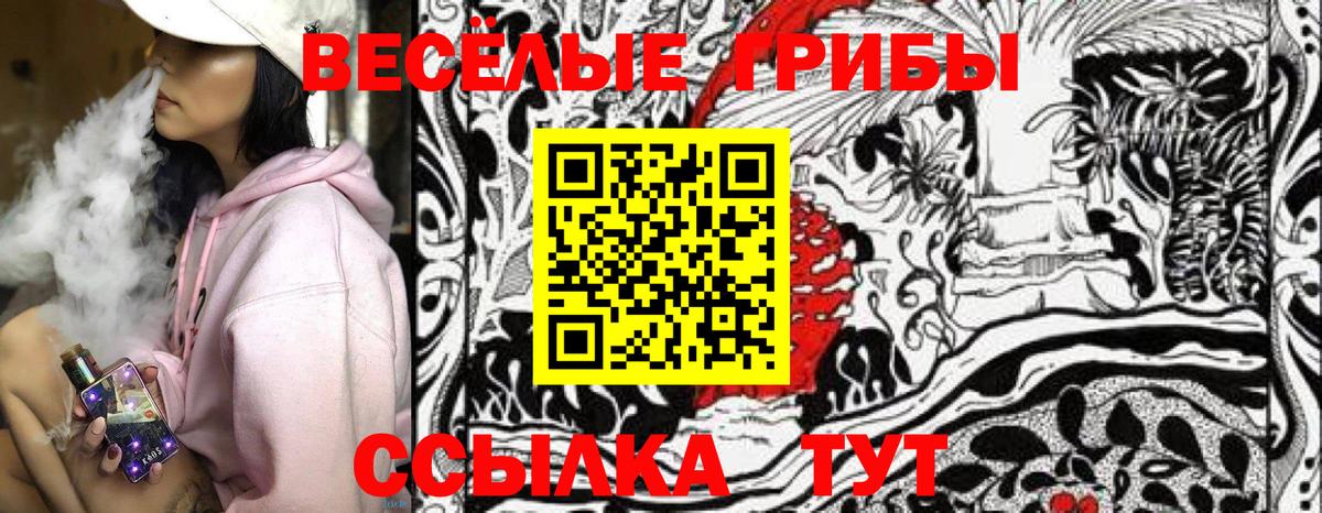Шебекино  Псилоцибиновые грибы GOLDEN TEACHER  сколько стоит  Вход с VPN 