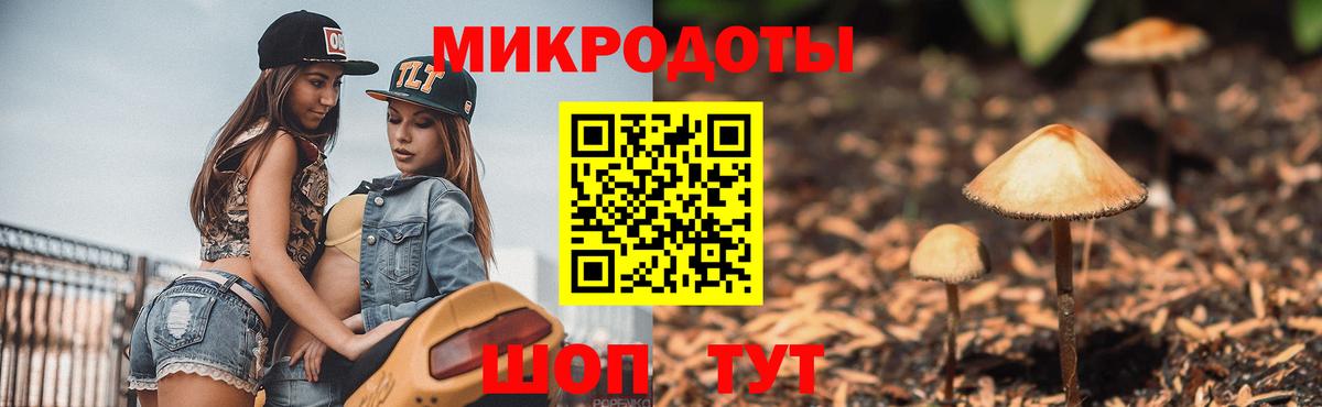 Галлюциногенные грибы мицелий Шебекино
